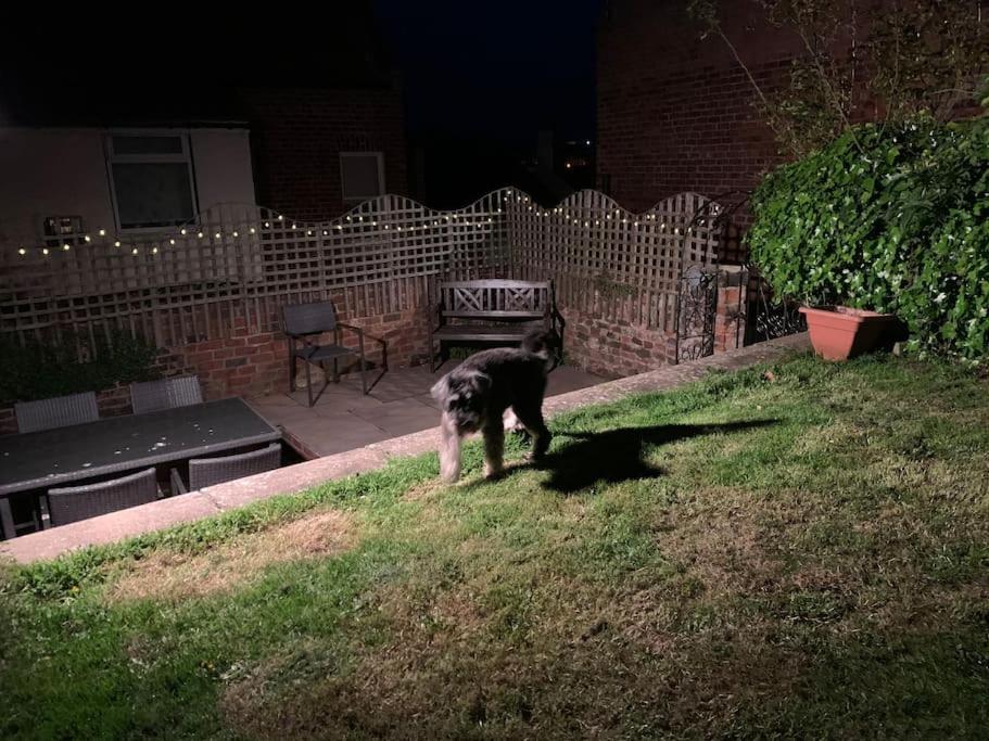 Award Winning Pet Friendly Paddock Cottage Whitby Exteriér fotografie