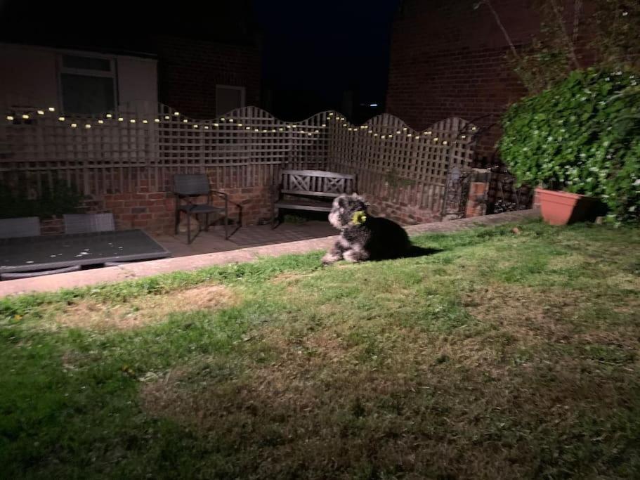 Award Winning Pet Friendly Paddock Cottage Whitby Exteriér fotografie