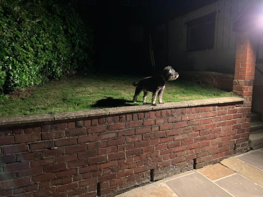 Award Winning Pet Friendly Paddock Cottage Whitby Exteriér fotografie